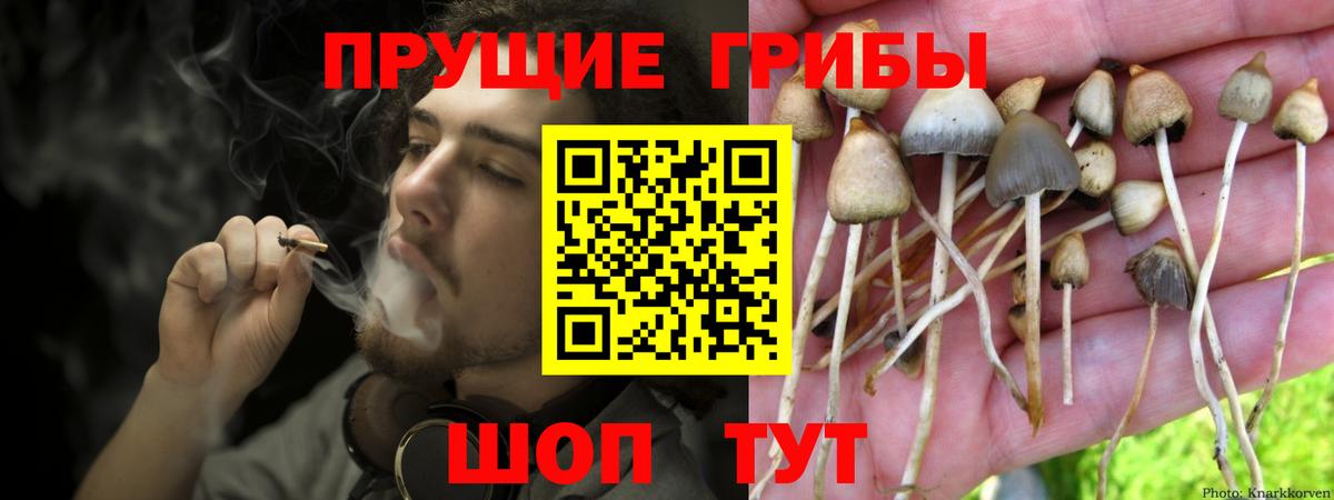 Галлюциногенные грибы Magic Shrooms Людиново